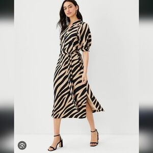 Ann Taylor Dress
